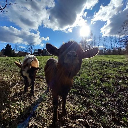 Les Hauts De Meez ディナン エクステリア 写真