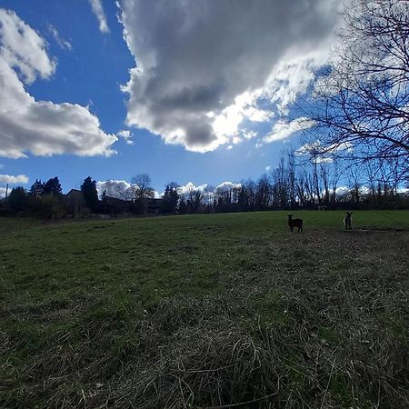 Les Hauts De Meez ディナン エクステリア 写真