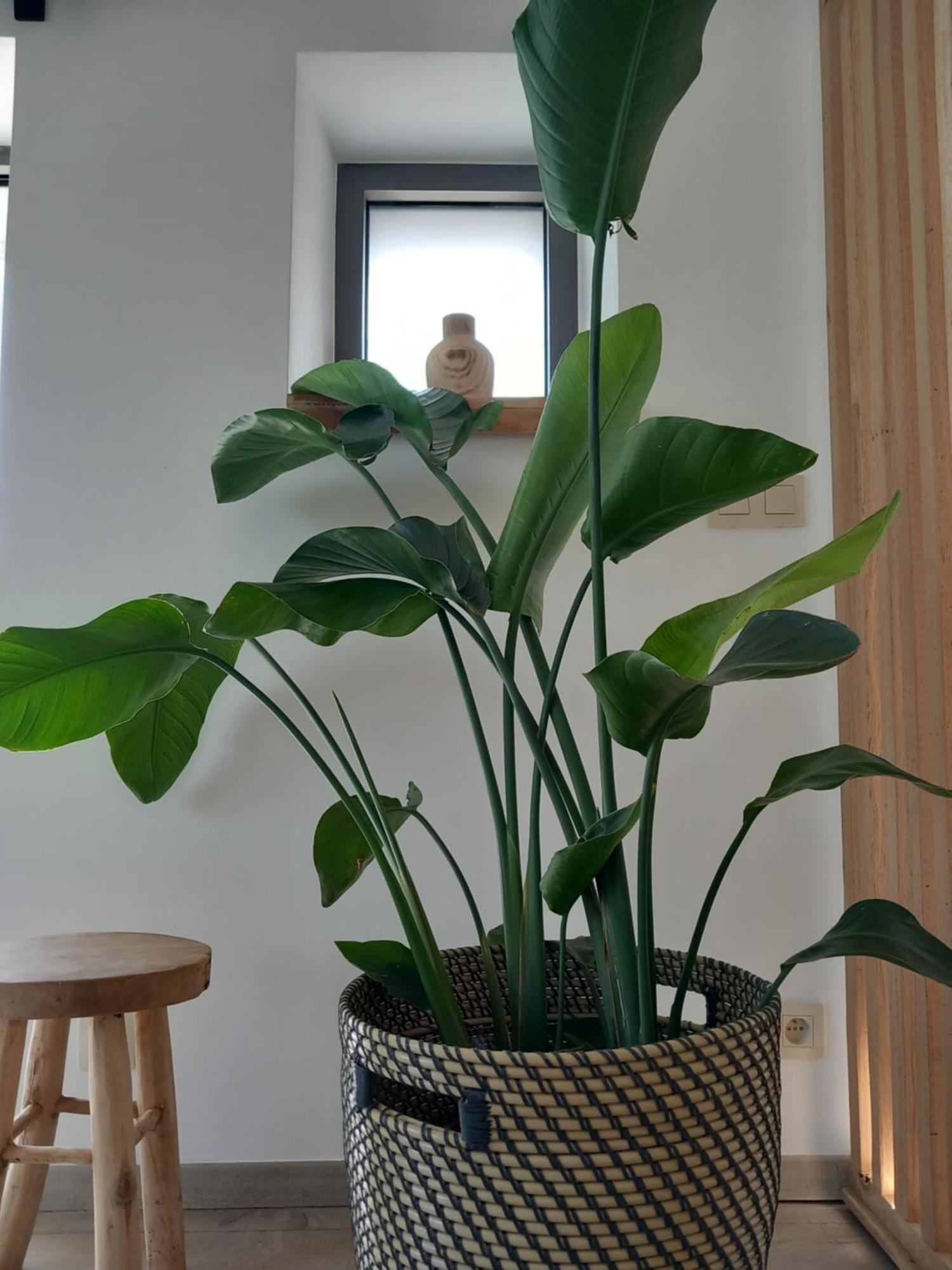 Les Hauts De Meez ディナン 部屋 写真